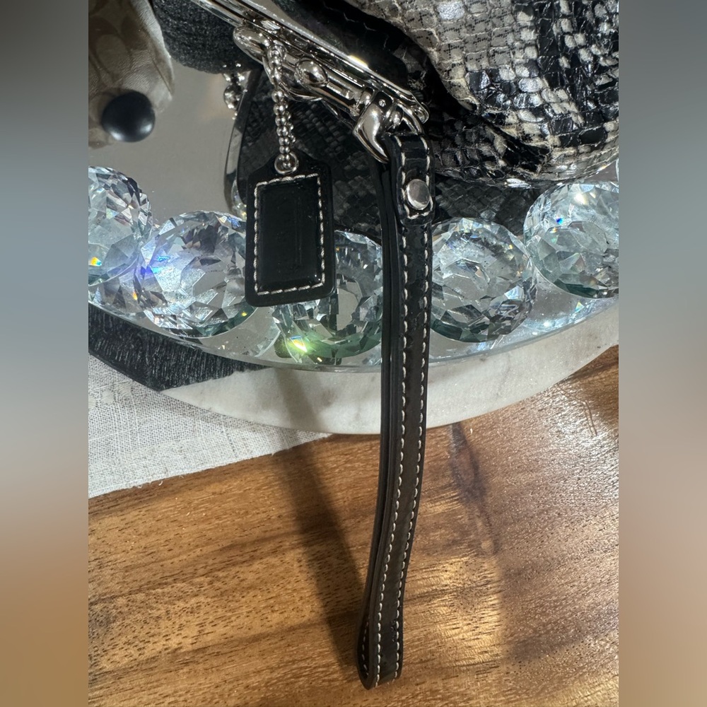 COACH EXOTIC PYTHON WRISTLET KISSLOCK CHROME/STEE… - image 12